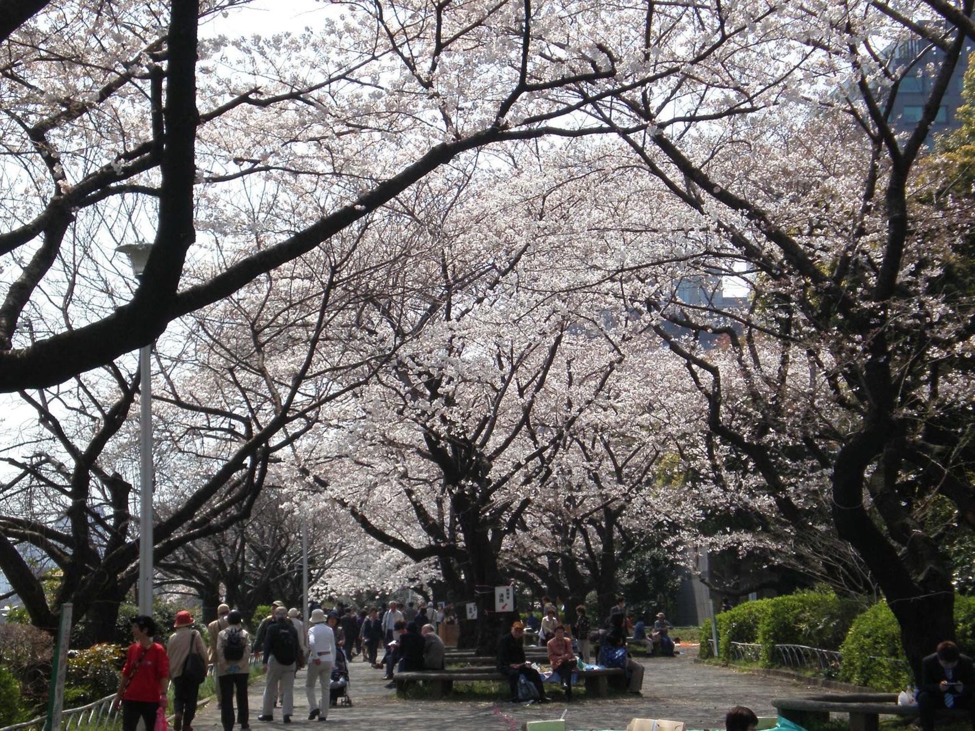 Hotel Monterey Hanzomon Tokio Exterior foto